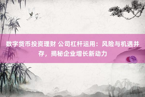 数字货币投资理财 公司杠杆运用：风险与机遇并存，揭秘企业增长新动力