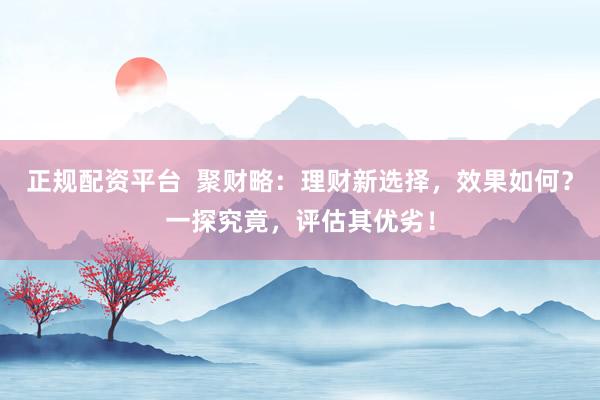 正规配资平台  聚财略：理财新选择，效果如何？一探究竟，评估其优劣！