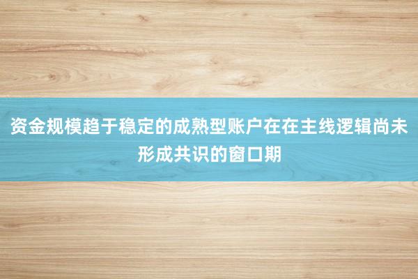 资金规模趋于稳定的成熟型账户在在主线逻辑尚未形成共识的窗口期