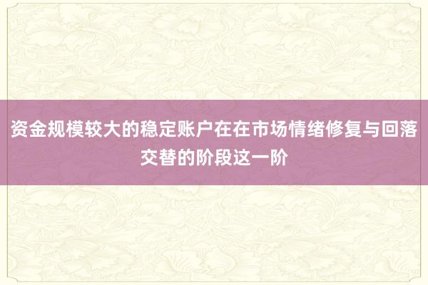 资金规模较大的稳定账户在在市场情绪修复与回落交替的阶段这一阶