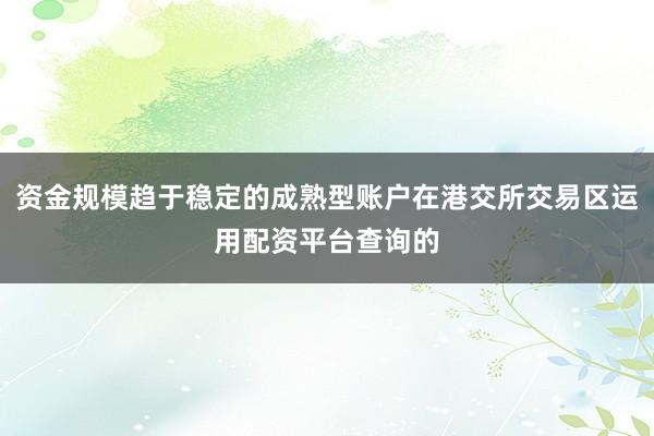 资金规模趋于稳定的成熟型账户在港交所交易区运用配资平台查询的