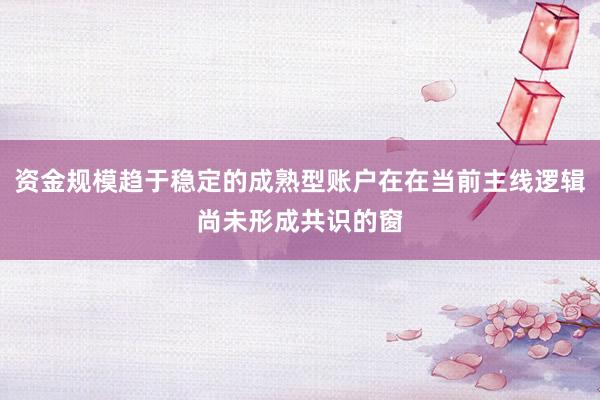 资金规模趋于稳定的成熟型账户在在当前主线逻辑尚未形成共识的窗