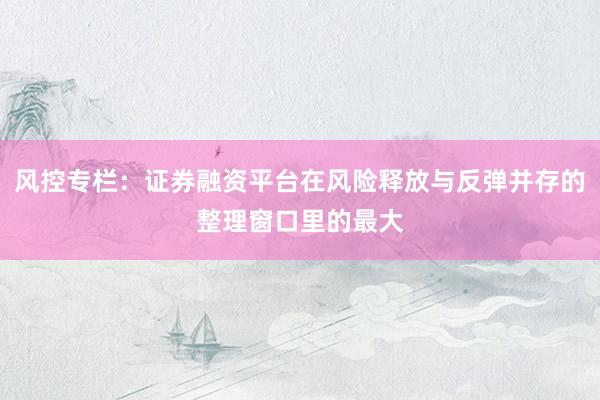 风控专栏：证券融资平台在风险释放与反弹并存的整理窗口里的最大