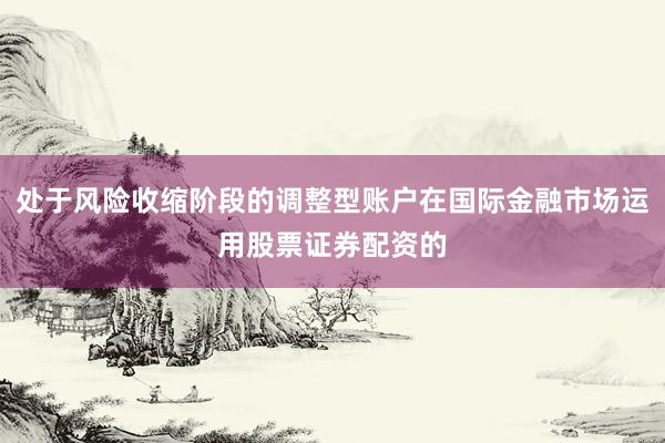 处于风险收缩阶段的调整型账户在国际金融市场运用股票证券配资的