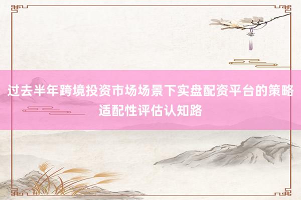 过去半年跨境投资市场场景下实盘配资平台的策略适配性评估认知路