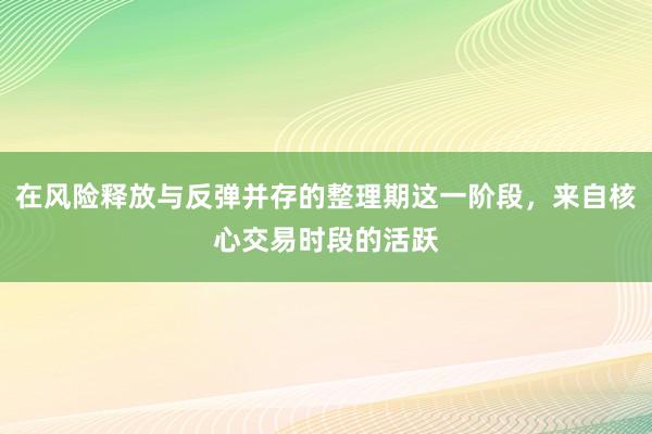 在风险释放与反弹并存的整理期这一阶段，来自核心交易时段的活跃