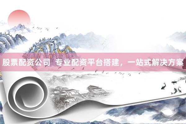 股票配资公司  专业配资平台搭建，一站式解决方案