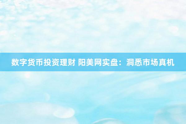 数字货币投资理财 阳美网实盘：洞悉市场真机