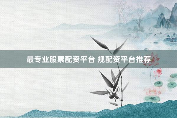 最专业股票配资平台 规配资平台推荐