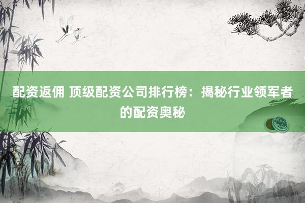配资返佣 顶级配资公司排行榜：揭秘行业领军者的配资奥秘